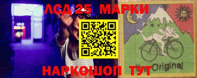 гидропоника Будённовск