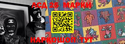 гидропоника Будённовск