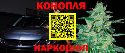 прущие грибы Бузулук