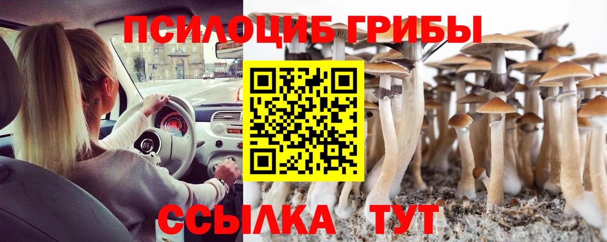 Стрежевой  Псилоцибиновые грибы Psilocybine cubensis  Вход с VPN 