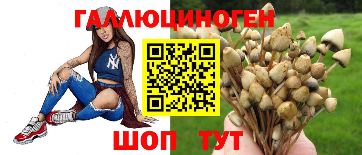 Галлюциногенные грибы GOLDEN TEACHER Стрежевой